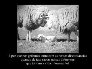 E por que nos grilamos tanto com as nossas discordâncias quando de fato são as nossas diferenças que tornam a vida interessante? 