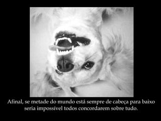 Afinal, se metade do mundo está sempre de cabeça para baixo seria impossível todos concordarem sobre tudo. 