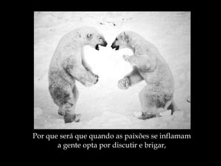Por que será que quando as paixões se inflamam a gente opta por discutir e brigar, 