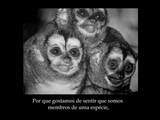 Por que gostamos de sentir que somos  membros de uma espécie, 