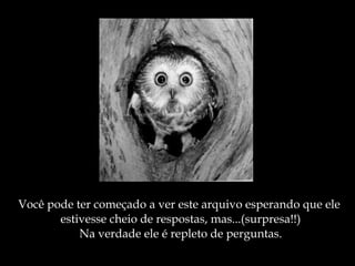 Você pode ter começado a ver este arquivo esperando que ele  estivesse cheio de respostas, mas...(surpresa!!) Na verdade ele é repleto de perguntas. 