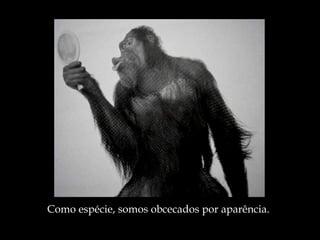 Como espécie, somos obcecados por aparência. 