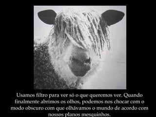 Usamos filtro para ver só o que queremos ver. Quando finalmente abrimos os olhos, podemos nos chocar com o modo obscuro com que olhávamos o mundo de acordo com nossos planos mesquinhos. 