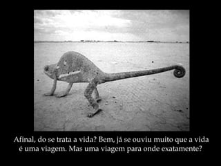 Afinal, do se trata a vida? Bem, já se ouviu muito que a vida é uma viagem. Mas uma viagem para onde exatamente? 