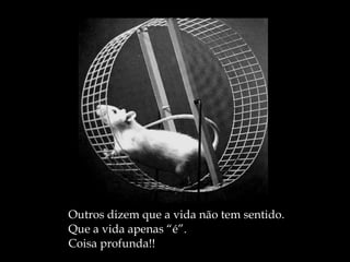 Outros dizem que a vida não tem sentido. Que a vida apenas “é”.  Coisa profunda!! 