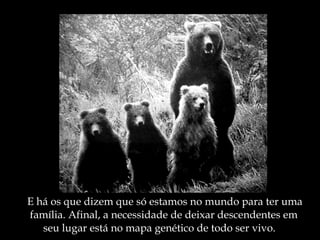 E há os que dizem que só estamos no mundo para ter uma  família. Afinal, a necessidade de deixar descendentes em  seu lugar está no mapa genético de todo ser vivo. 