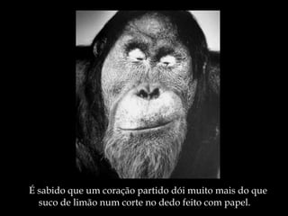É sabido que um coração partido dói muito mais do que suco de limão num corte no dedo feito com papel. 