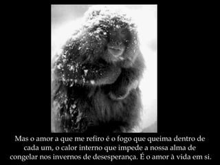 Mas o amor a que me refiro é o fogo que queima dentro de  cada um, o calor interno que impede a nossa alma de  congelar nos invernos de desesperança. É o amor à vida em si. 