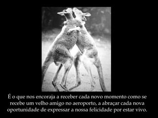 É o que nos encoraja a receber cada novo momento como se recebe um velho amigo no aeroporto, a abraçar cada nova oportunidade de expressar a nossa felicidade por estar vivo. 