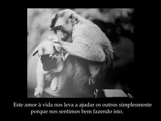 Este amor à vida nos leva a ajudar os outros simplesmente porque nos sentimos bem fazendo isto. 