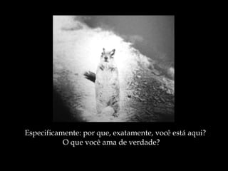 Especificamente: por que, exatamente, você está aqui? O que você ama de verdade? 