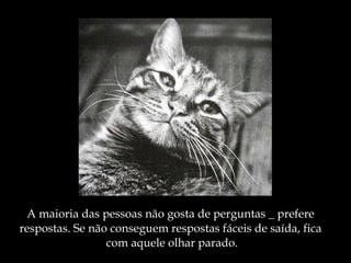 A maioria das pessoas não gosta de perguntas _ prefere  respostas. Se não conseguem respostas fáceis de saída, fica  com aquele olhar parado. 