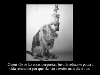 Quem não se faz essas perguntas, invariavelmente passa a  vida sem saber por que ela não é muito mais divertida. 