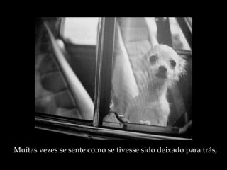 Muitas vezes se sente como se tivesse sido deixado para trás, 