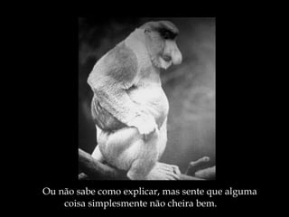 Ou não sabe como explicar, mas sente que alguma coisa simplesmente não cheira bem. 