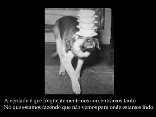 A verdade é que freqüentemente nos concentramos tanto No que estamos fazendo que não vemos para onde estamos indo. 