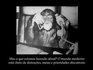Mas o que estamos fazendo afinal? O mundo moderno está cheio de distrações, metas e prioridades discutíveis. 