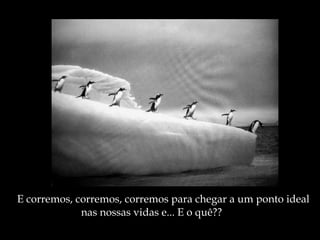 E corremos, corremos, corremos para chegar a um ponto ideal nas nossas vidas e... E o quê?? 