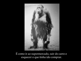 É como ir ao supermercado, sair do carro e  esquecer o que tinha ido comprar. 