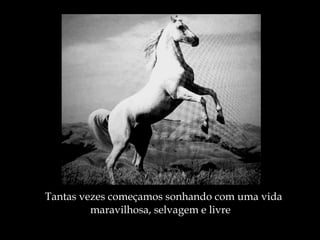 Tantas vezes começamos sonhando com uma vida maravilhosa, selvagem e livre 