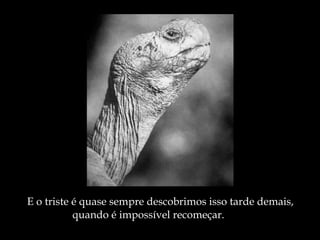 E o triste é quase sempre descobrimos isso tarde demais, quando é impossível recomeçar. 