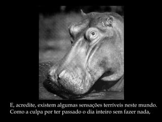 E, acredite, existem algumas sensações terríveis neste mundo. Como a culpa por ter passado o dia inteiro sem fazer nada, 