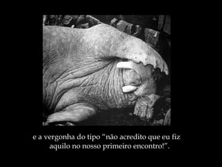 e a vergonha do tipo “não acredito que eu fiz  aquilo no nosso primeiro encontro!”. 