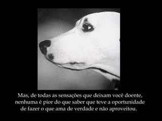 Mas, de todas as sensações que deixam você doente, nenhuma é pior do que saber que teve a oportunidade de fazer o que ama de verdade e não aproveitou. 