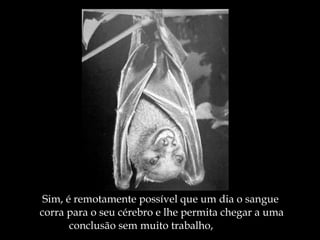 Sim, é remotamente possível que um dia o sangue  corra para o seu cérebro e lhe permita chegar a uma  conclusão sem muito trabalho, 