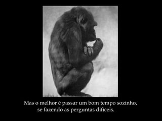 Mas o melhor é passar um bom tempo sozinho,  se fazendo as perguntas difíceis. 