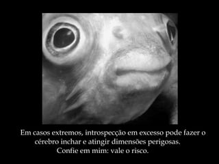 Em casos extremos, introspecção em excesso pode fazer o  cérebro inchar e atingir dimensões perigosas.  Confie em mim: vale o risco. 