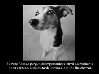 Se você fizer as perguntas importantes e ouvir atentamente o seu coração, cedo ou tarde ouvirá o destino lhe chamar. 