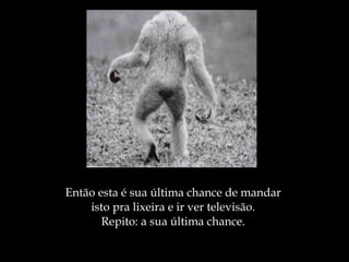 Então esta é sua última chance de mandar isto pra lixeira e ir ver televisão.  Repito: a sua última chance. 