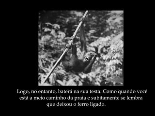 Logo, no entanto, baterá na sua testa. Como quando você  está a meio caminho da praia e subitamente se lembra que deixou o ferro ligado. 