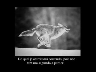 Do qual já aterrissará correndo, pois não  tem um segundo a perder. 