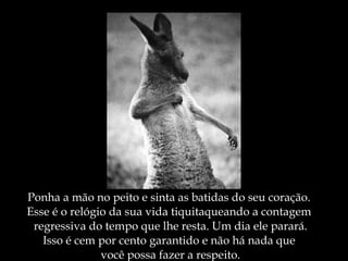 Ponha a mão no peito e sinta as batidas do seu coração.  Esse é o relógio da sua vida tiquitaqueando a contagem  regressiva do tempo que lhe resta. Um dia ele parará. Isso é cem por cento garantido e não há nada que  você possa fazer a respeito. 