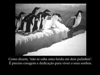Como dizem, "não se salta uma fenda em dois pulinhos". É preciso coragem e dedicação para viver o seus sonhos. 