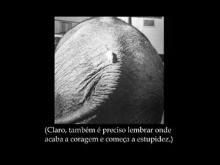 (Claro, também é preciso lembrar onde  acaba a coragem e começa a estupidez.) 