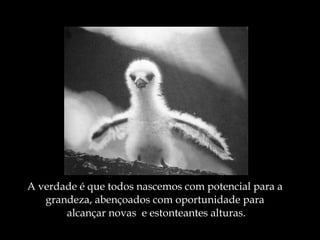 A verdade é que todos nascemos com potencial para a  grandeza, abençoados com oportunidade para  alcançar novas  e estonteantes alturas. 