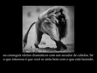 ou conseguir efeitos dramáticos com um secador de cabelos. Só  o que interessa é que você se sinta bem com o que está fazendo. 