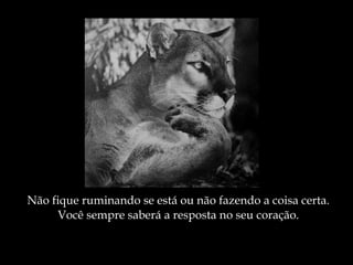 Não fique ruminando se está ou não fazendo a coisa certa. Você sempre saberá a resposta no seu coração. 