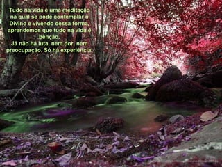 Tudo na vida é uma meditação na qual se pode contemplar o Divino e vivendo dessa forma, aprendemos que tudo na vida é bênção. Já não há luta, nem dor, nem preocupação. Só há experiência. http://www.tom-phillips.info/images/cool.pics.35/image.3505.jpg 