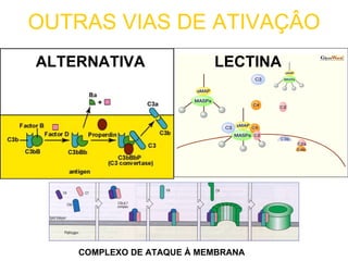 OUTRAS VIAS DE ATIVAÇÂO ALTERNATIVA LECTINA COMPLEXO DE ATAQUE À MEMBRANA 