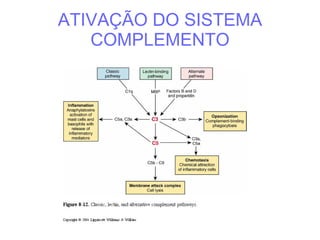 ATIVAÇÃO DO SISTEMA COMPLEMENTO