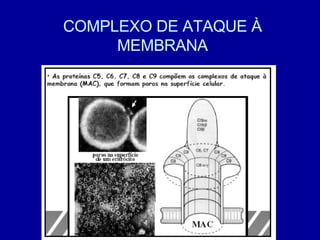 COMPLEXO DE ATAQUE À MEMBRANA 