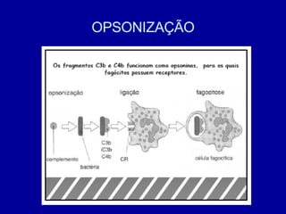 OPSONIZAÇÃO 