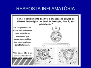 RESPOSTA INFLAMATÓRIA 