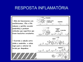 RESPOSTA INFLAMATÓRIA 