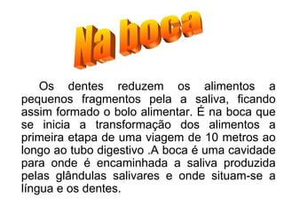 Os dentes reduzem os alimentos a pequenos fragmentos pela a saliva, ficando assim formado o bolo alimentar. É na boca que se inicia a transformação dos alimentos a primeira etapa de uma viagem de 10 metros ao longo ao tubo digestivo .A boca é uma cavidade para onde é encaminhada a saliva produzida pelas glândulas salivares e onde situam-se a língua e os dentes.  Na boca 