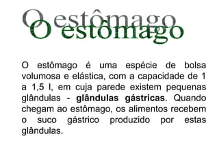 O estômago é uma espécie de bolsa volumosa e elástica, com a capacidade de 1 a 1,5 l, em cuja parede existem pequenas glândulas -  glândulas gástricas . Quando chegam ao estômago, os alimentos recebem o suco gástrico produzido por estas glândulas.  O estômago 